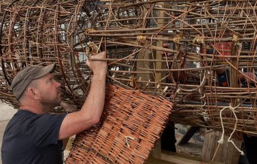 Basket Shark Imagery