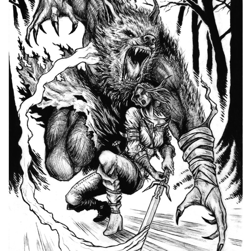 A pen and ink illustration